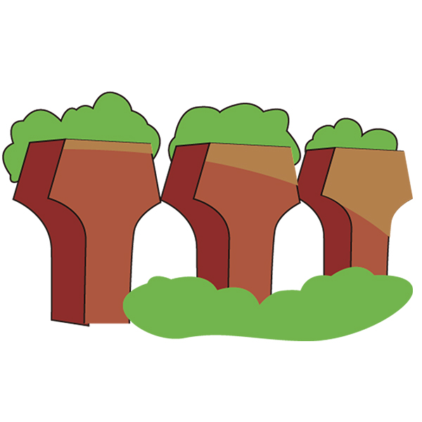 �]�ߤT�q�s���_��